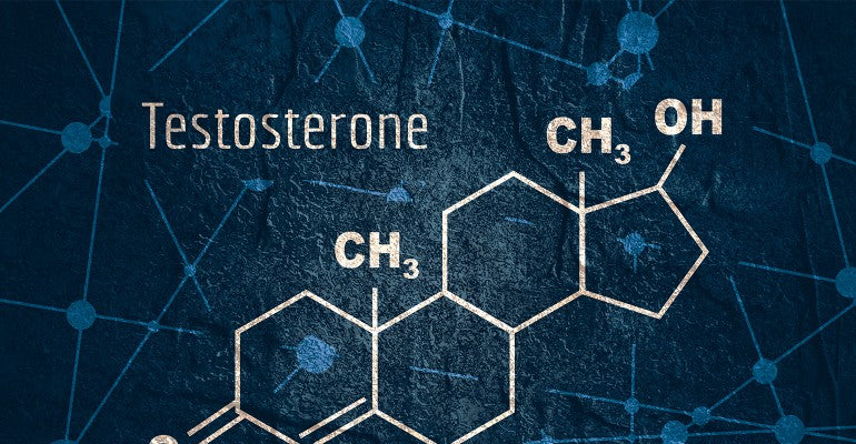 Boosting Testosterone Naturally: The Wellness Hacker's Guide to Optimizing Hormonal Health
