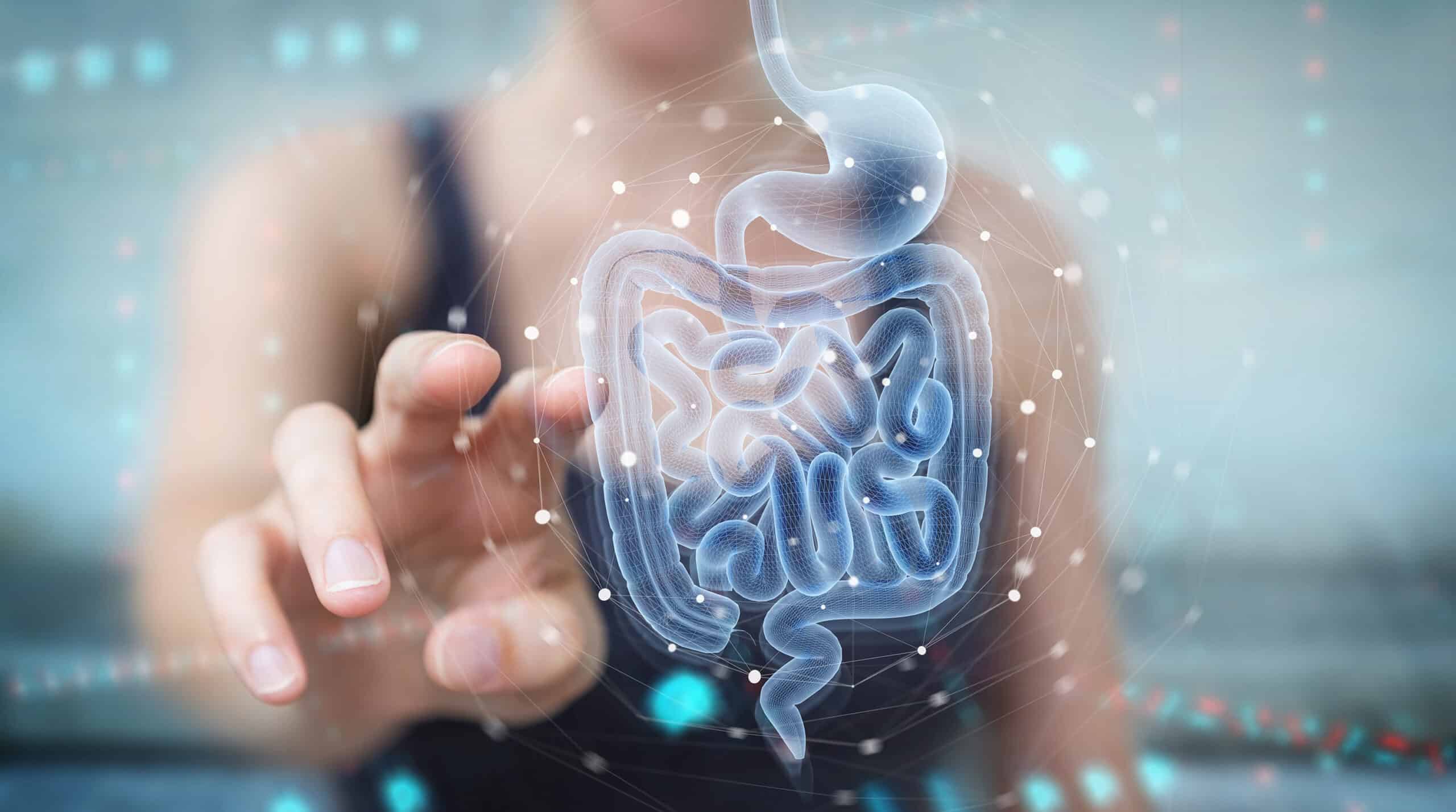 What Is The Significance of Digestive Health?