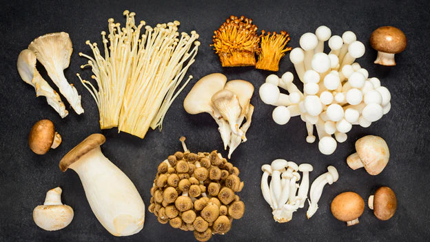 Unleashing Nature's Resilience: Exploring Adaptogenic Mushrooms